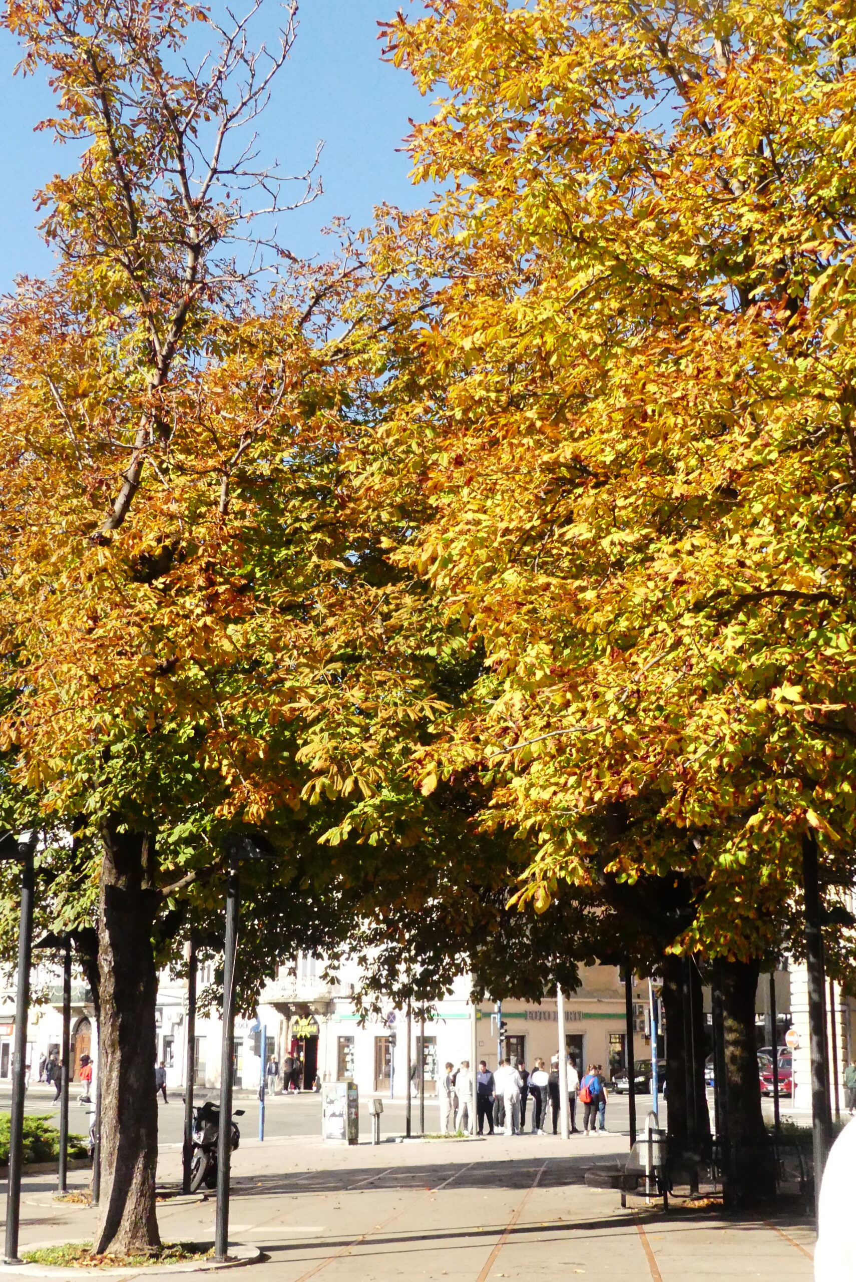 Što radimo u “DIP-ovoj manufakturi” tijekom  2025. godine?